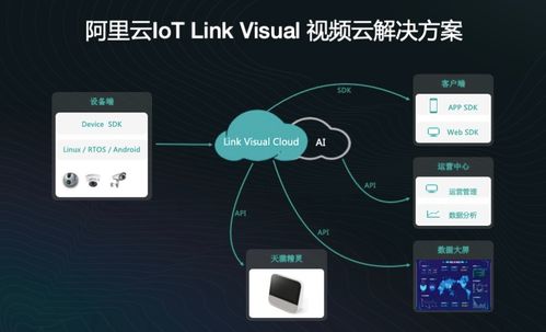 不止数字 过去24小时特别解读 2021.10.25